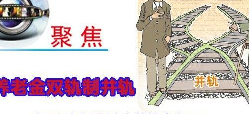 双轨是什么意思（双轨制指的是哪俩个轨道）
