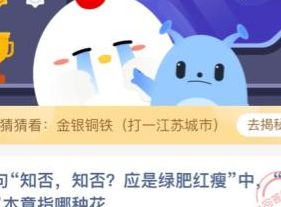 知否知否应是绿肥红瘦蚂蚁庄园(蚂蚁庄园攻略？)