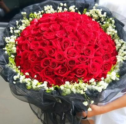 送玫瑰花的含义（过生日送玫瑰花的含义）