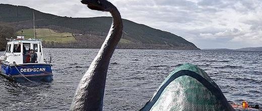 世界上真的有海怪吗(宁夏西吉震湖真的有水怪吗？)