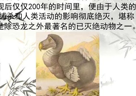 什么动物最早灭绝(最早灭绝的生物？)