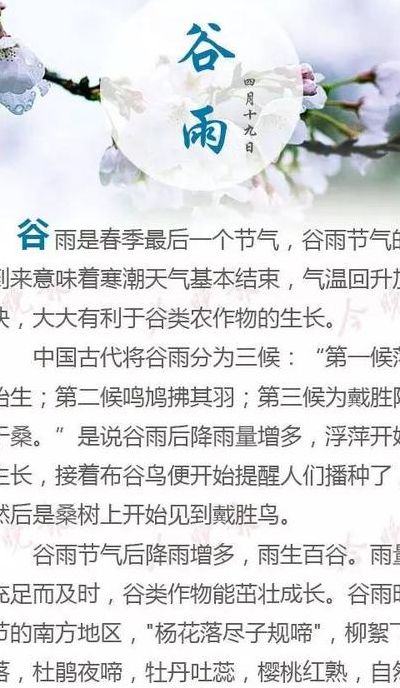 谷雨的来历和风俗（谷雨的来历和风俗是什么）