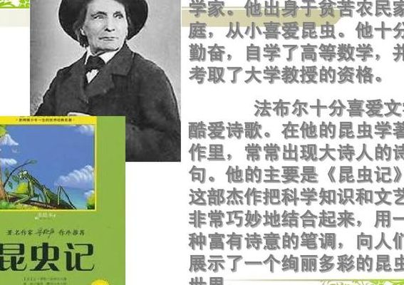 法布尔的资料（法布尔的资料简介30字）