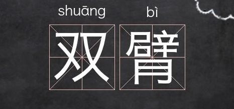 双臂的拼音(双臂成语有哪些？)