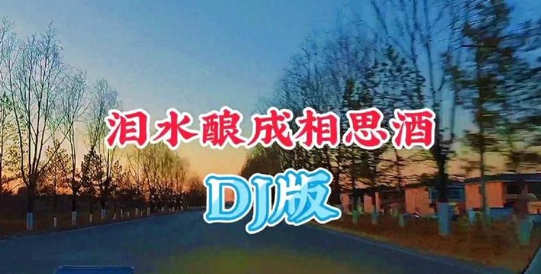 为了谁简谱(泪水酿成相思酒原唱词谱？)
