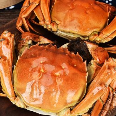 阳澄湖大闸蟹多少钱一只（35两的阳澄湖大闸蟹多少钱一只）