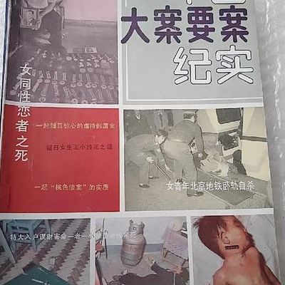 中国大案要案纪实(中国大案要案纪实作者？)