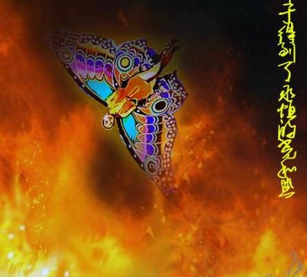飞蛾为什么扑火（飞蛾为什么扑火的传说）