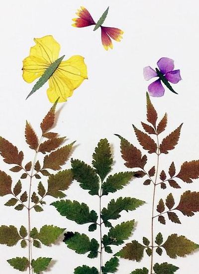 树叶贴画作品一等奖(香菜叶手工贴画？)