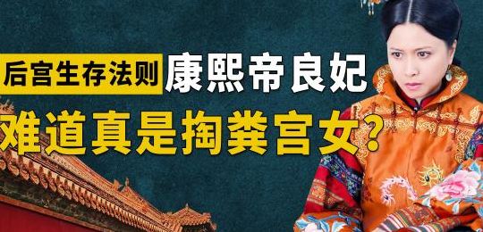 康熙良妃(良妃为什么不见康熙？)