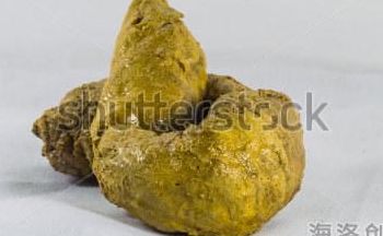 狗屎用英语怎么说(shit有什么意思或含义？)