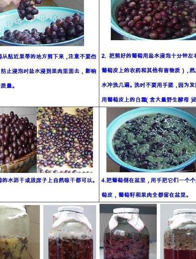 家庭酿制葡萄酒方法（如何家酿葡萄酒）