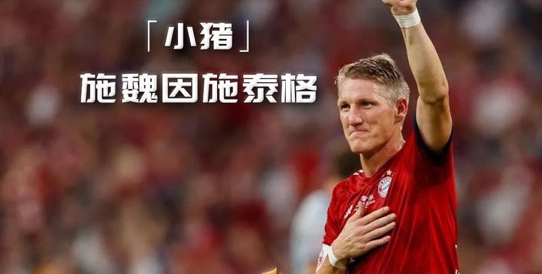 德国小猪（德国小猪 施魏因斯泰格）