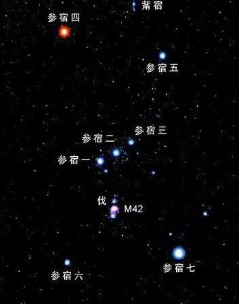 猎户座一等星(参宿星的别称？)