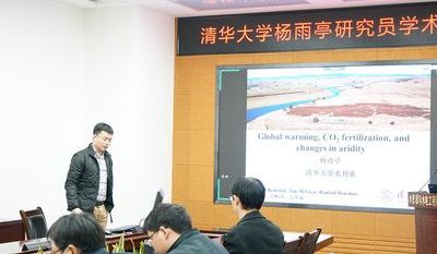 清华教授(清华董杨教授是干什么的？)