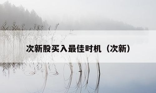 次新股买入技巧（什么是次新股票）