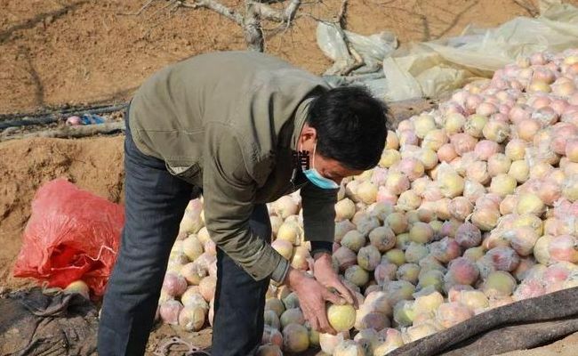 滞销商品什么意思（滞销货什么意思）
