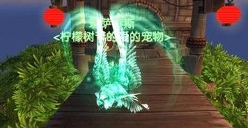 灵魂兽猫头鹰刷新时间(魔兽世界猫头鹰灵魂兽多久刷一次？)