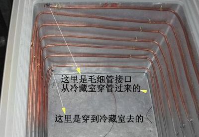 冰柜盘管(商用冰柜盘管方法？)