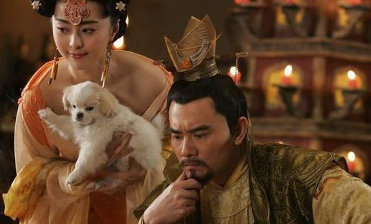 杨贵妃与安禄山(杨玉环被安禄山冒犯后面怎么样了？)