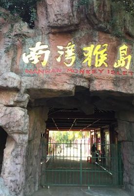 南湾猴岛(南湾猴岛怎么去？)