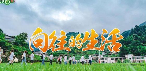 向往的生活第六季为什么停播(向往的生活为什么暂停播出？)