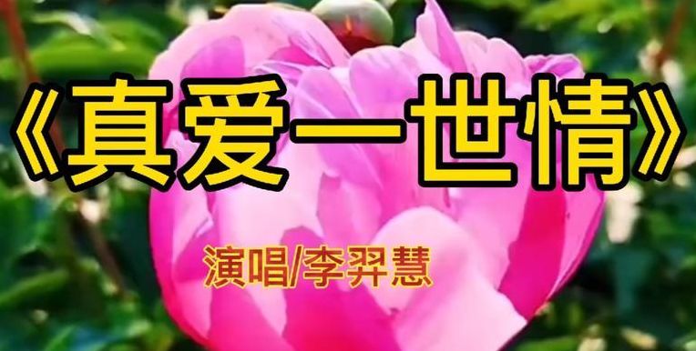 动情时刻最美(最深情的经典情歌歌词？)