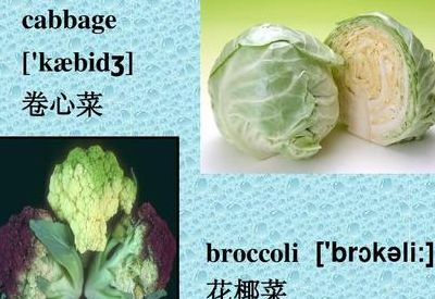 花椰菜的英文(花椰菜网络意思？)