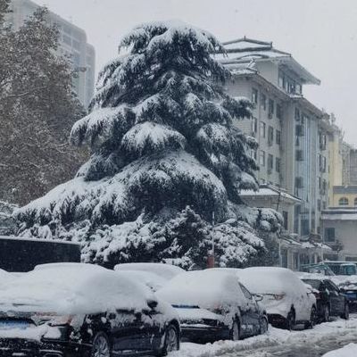 济南下雪(11月济南下雪正常么？)