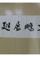 大鹏飞兮振八裔(大鹏展翅乘风起全诗？)