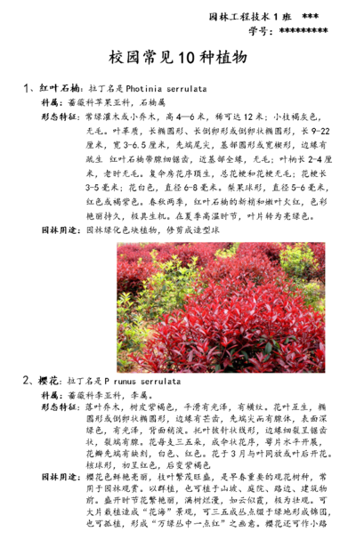 植物的资料（搜集有关植物的资料）