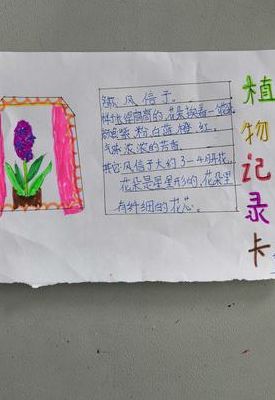 关于植物的资料（关于植物的资料卡怎么写）