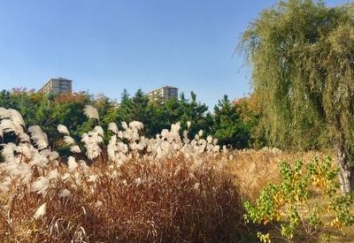 秋风送爽（秋风送爽什么意思）