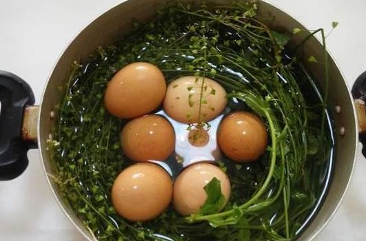 地菜煮鸡蛋的做法（地菜煮鸡蛋的配方）