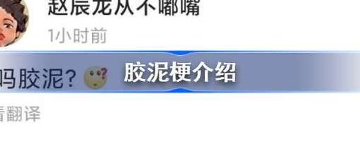 关于胶泥什么梗的信息