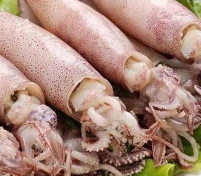 鲍鱼是鱼吗（鱿鱼是鱼吗）