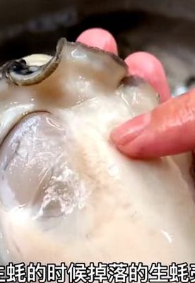 生蚝怎么开壳（生蚝怎么开壳清洗）