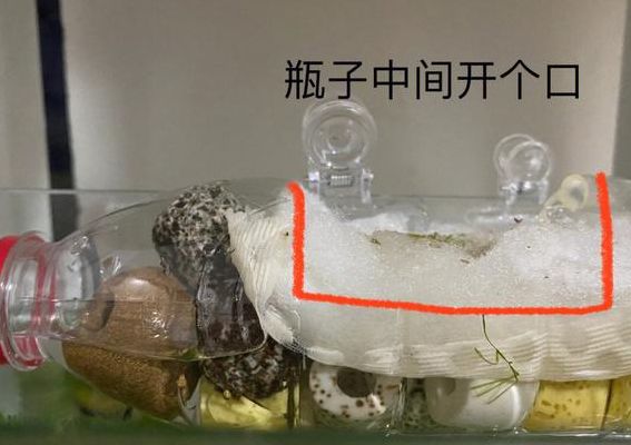 简易过滤器（简易过滤器制作方法）