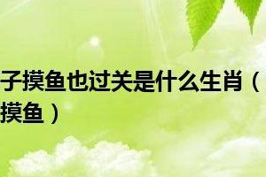 瞎子摸鱼是什么生肖（瞎子摸鱼打一动物）