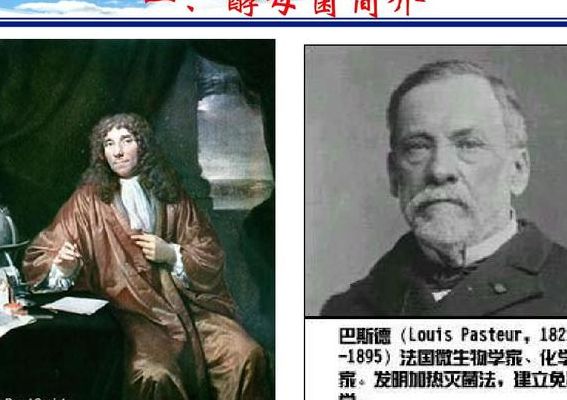 酵母是谁（酵母是谁发明出来的）