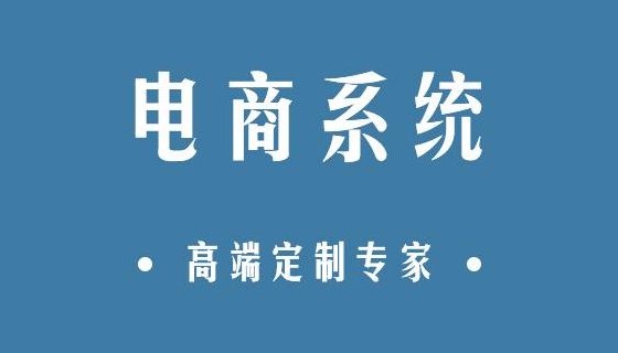 电商系统开发（电商 开发）