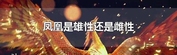 凤凰谁是雌雄（凤凰谁是雌雄之王）