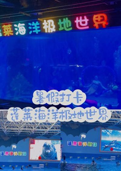 青岛极地海洋世界攻略（青岛极地海洋世界攻略穿衣服）