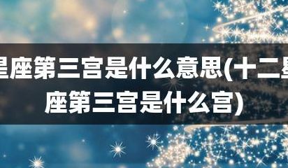 宫交的意思是什么（宫交的意思是什么意思）