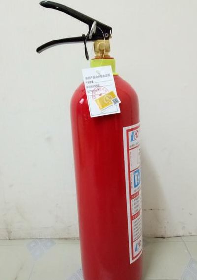 二氧化碳（二氧化碳灭火器不适宜扑救）