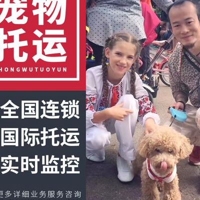 宠物托运手续（宠物托运手续复杂吗）