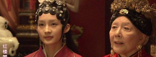 铁道部部长(李少红版红楼梦为什么停播？)