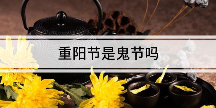 为什么说重阳节是鬼节（重阳节的五大禁忌）