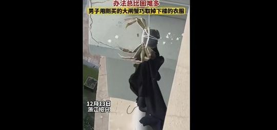男子用绳吊着大闸蟹下楼取衣服（男子用绳吊着大闸蟹下楼取衣服的视频）