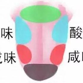 用你的舌头搅拌着我的舌头歌词（用你的舌头搅拌着我的舌头是什么歌）